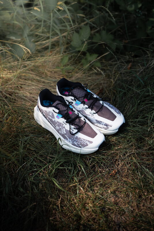 Salomon Aero Glide 4 GRVL dans l'herbe, trail running