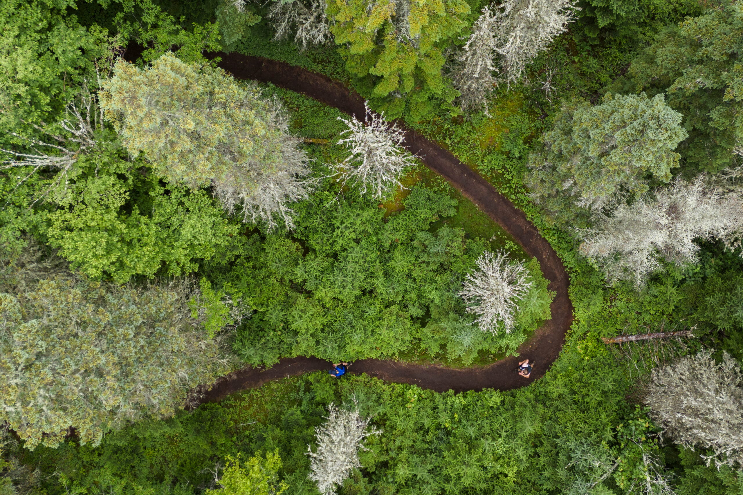 Quebec Mega Trail - Mont-Sainte-Anne
