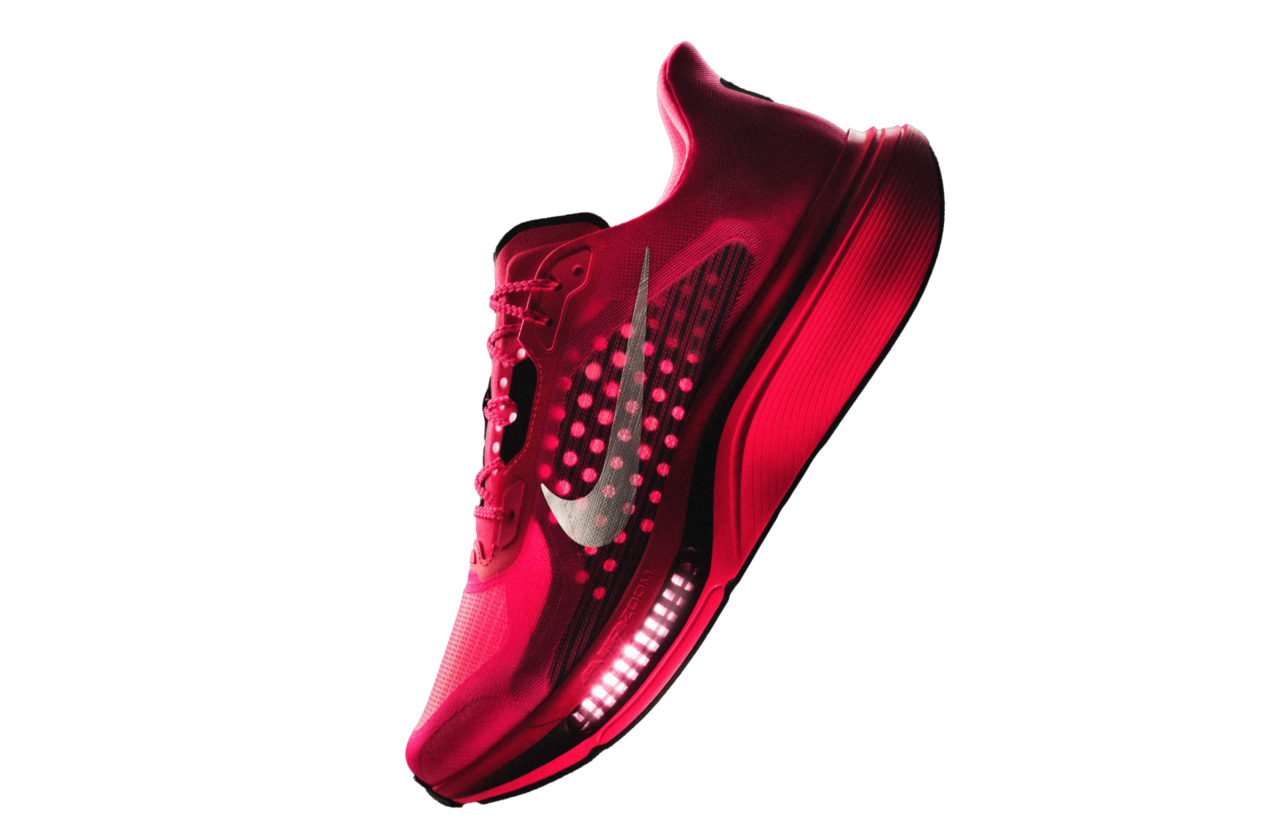 NIKE PEGASUS PLUS 2