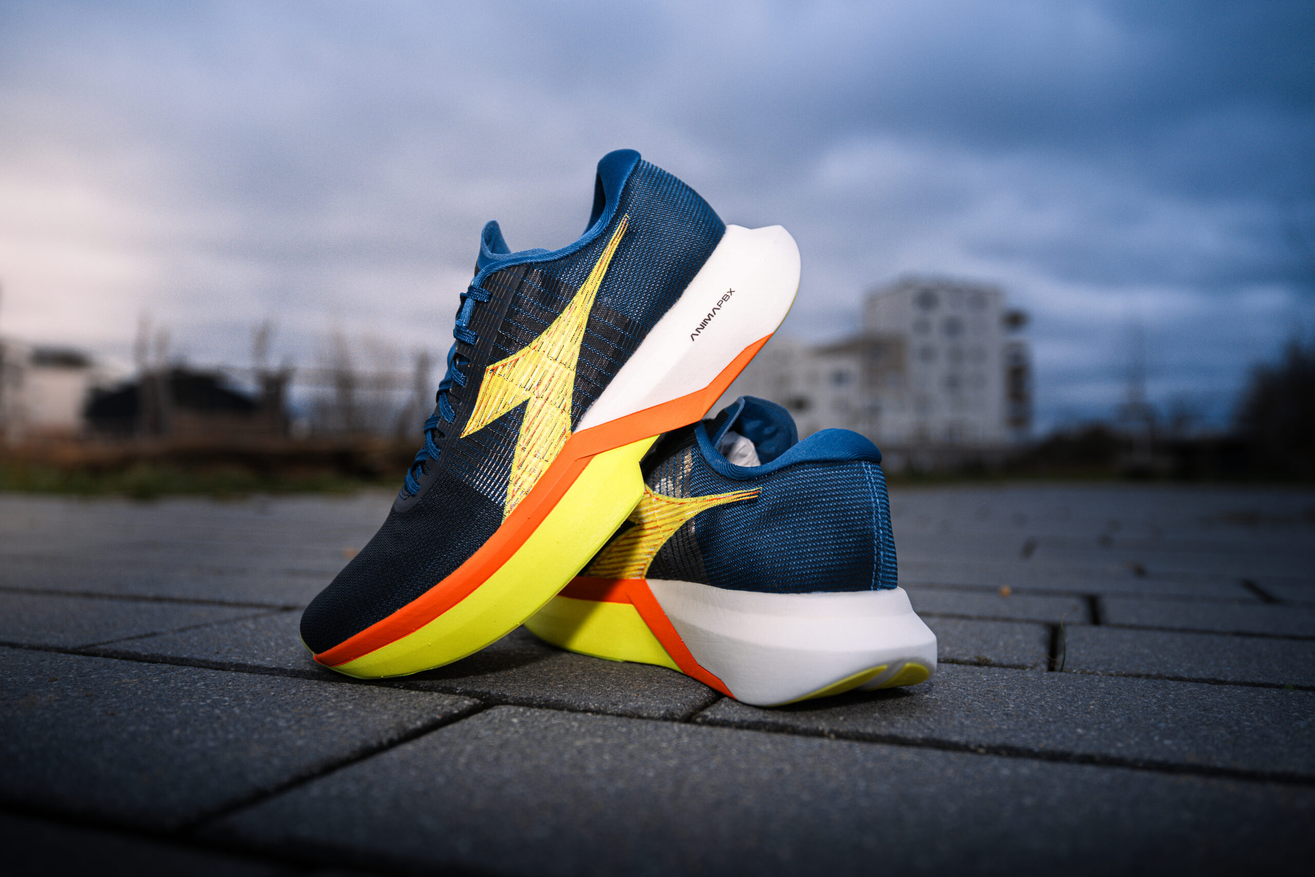 Chaussure running Diadora Gara Carbon 3