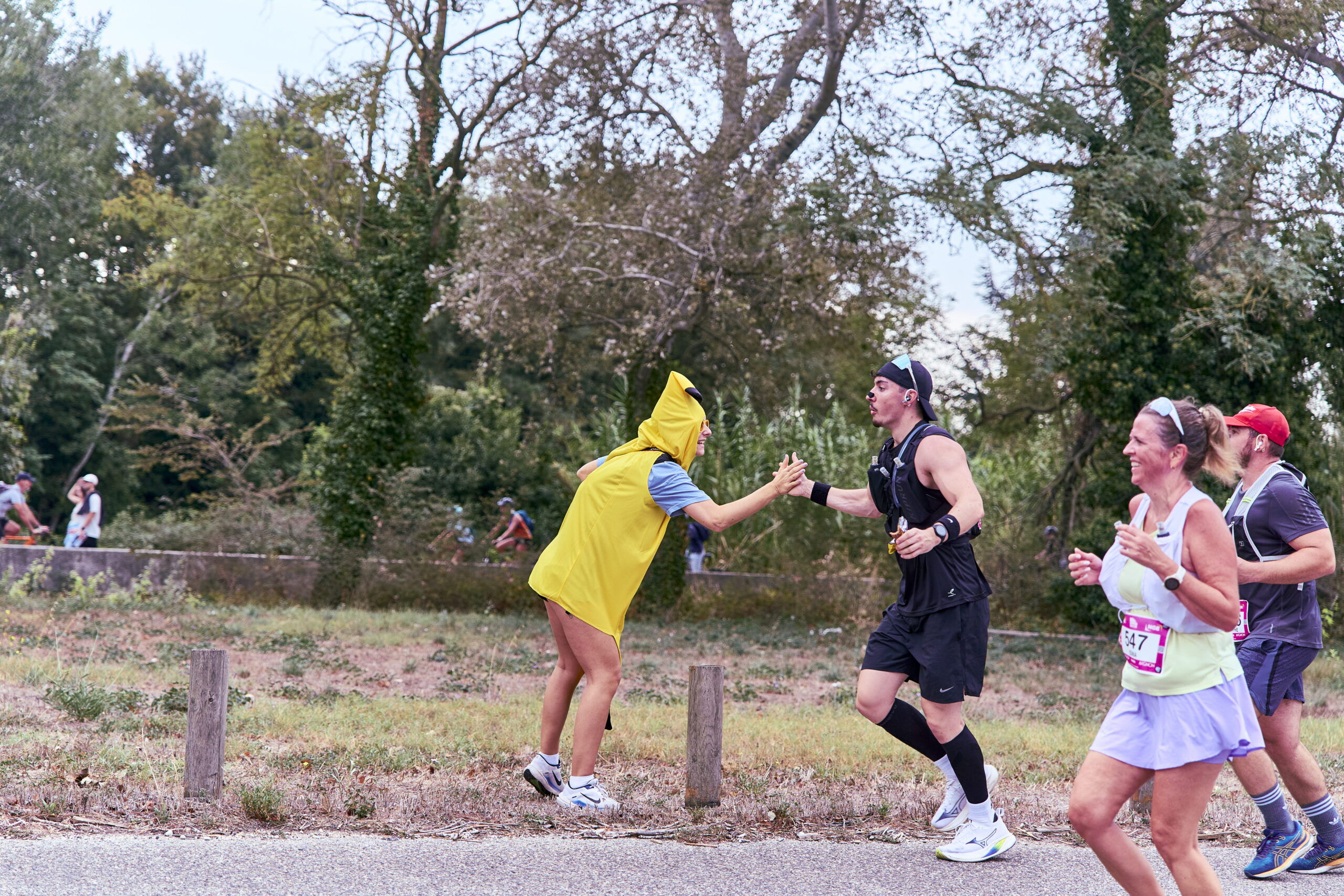 Marathon d'Avignon 2027 : les informations pratiques et résultats